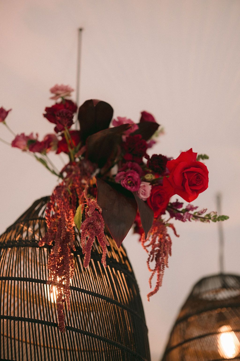 Bere & Ben — photo 2