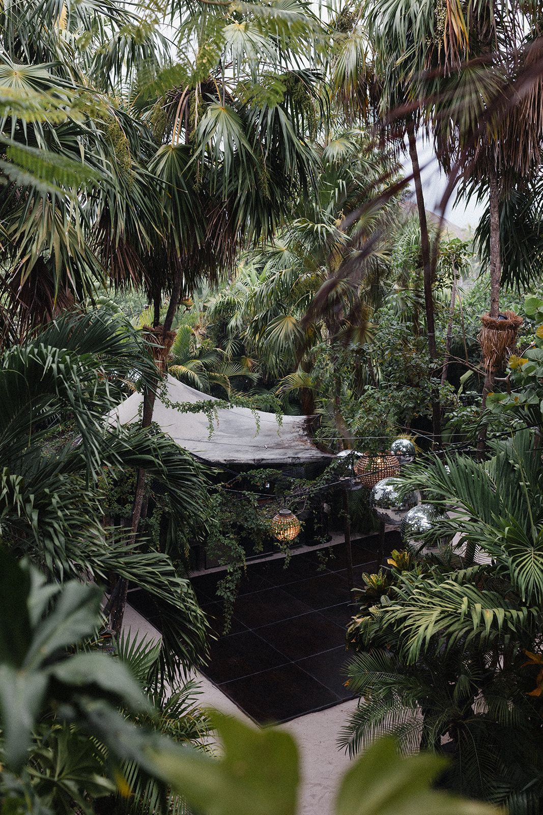 Laiken & Nick — photo 23