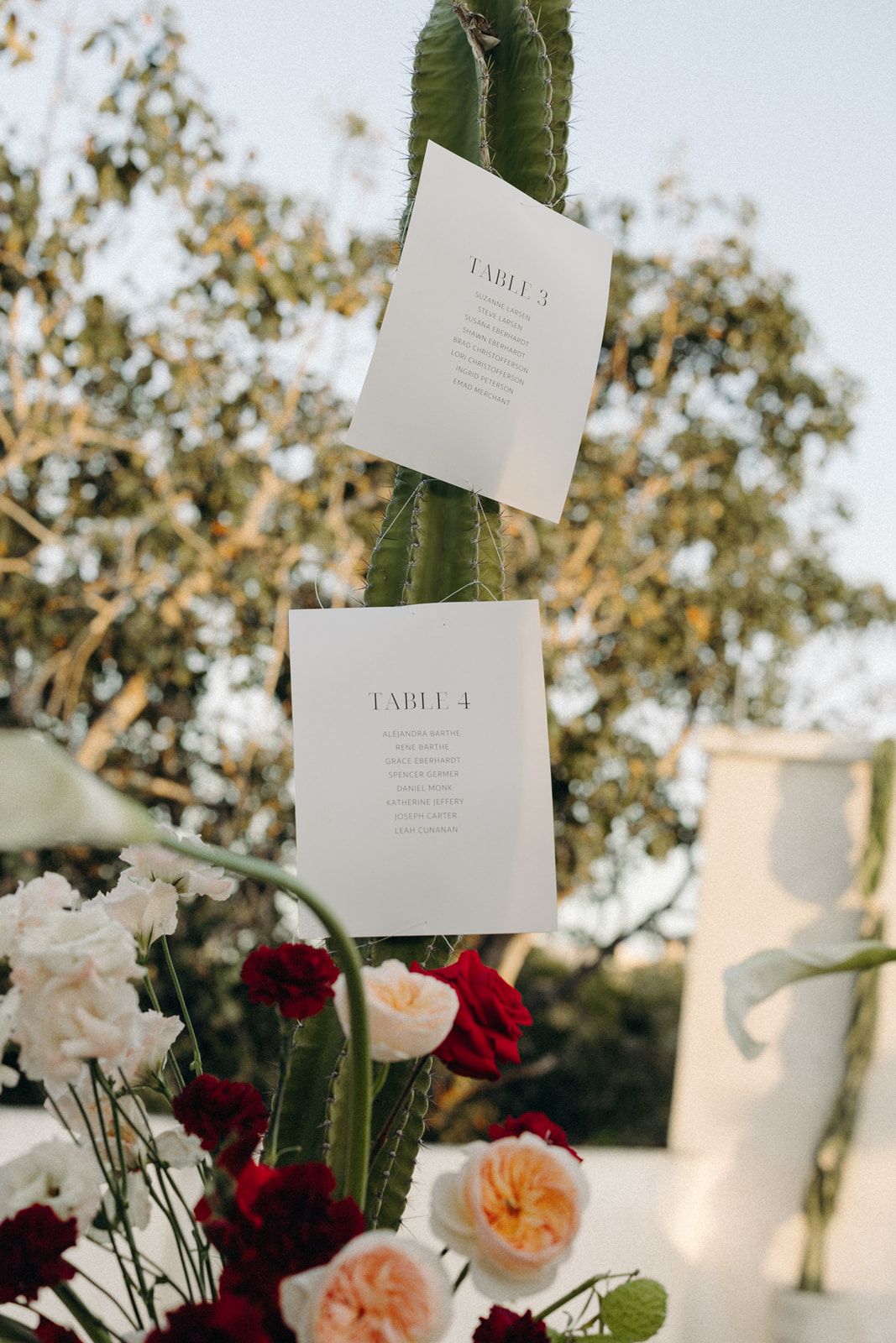 Paige & Troy — photo 35