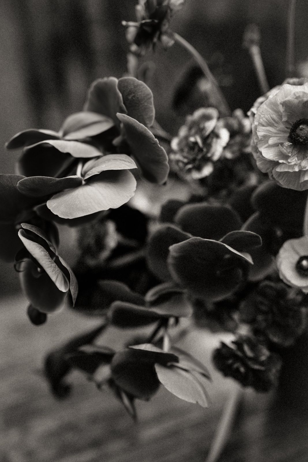 Paige & Troy — photo 46